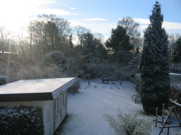 Garten im Winter (2006)