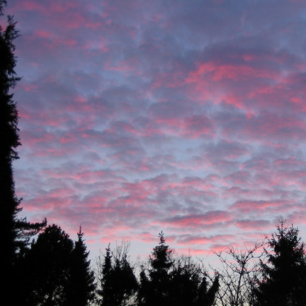 Sonnenuntergang in Hamburg (2005)